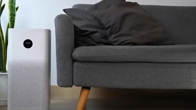 'Video thumbnail for 3 Signs Your Air Purifier Might Be Producing Ozone (And What to Do About It)'