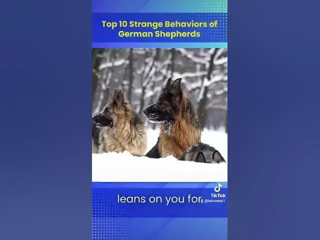 'Video thumbnail for Gsd 101 2023 10 23 081930352'