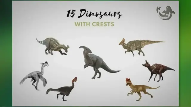 'Video thumbnail for Unveiling 15 Dinosaurs Adorned with Majestic Crests'