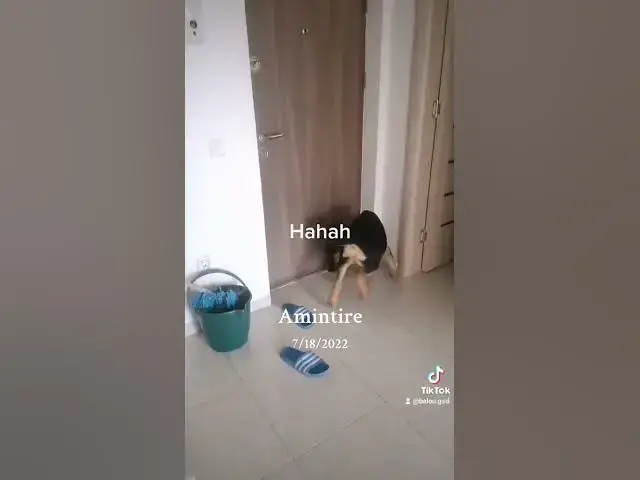 Video thumbnail for 1 august 2024