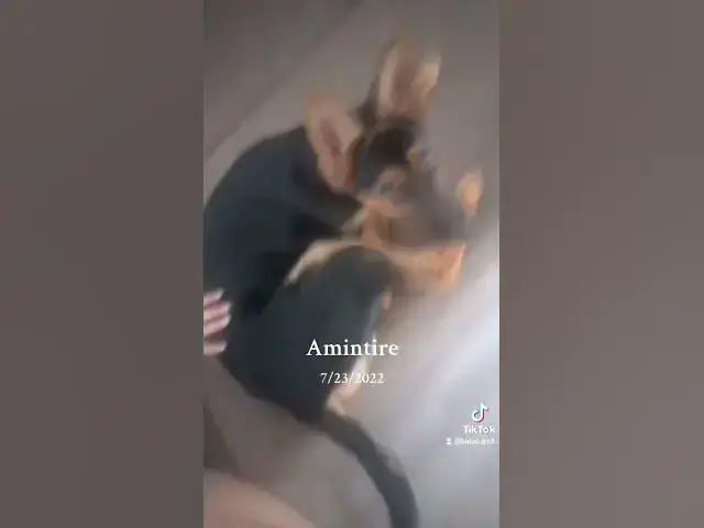 Video thumbnail for 1 august 2024