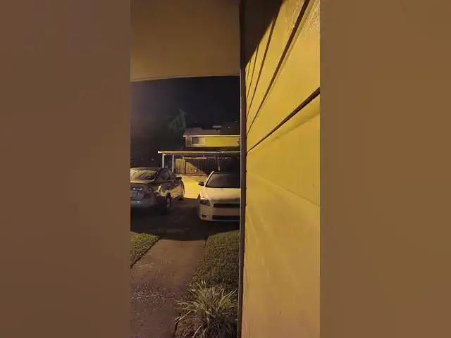 Video thumbnail for Thieves early morning