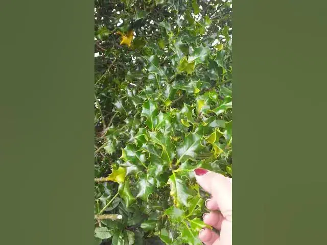 Video thumbnail for 😆😆