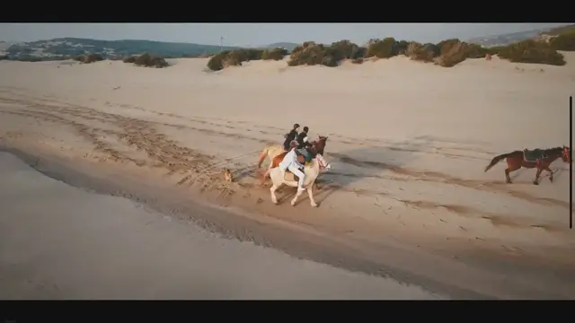 'Video thumbnail for Untitled - December 8, 2022'