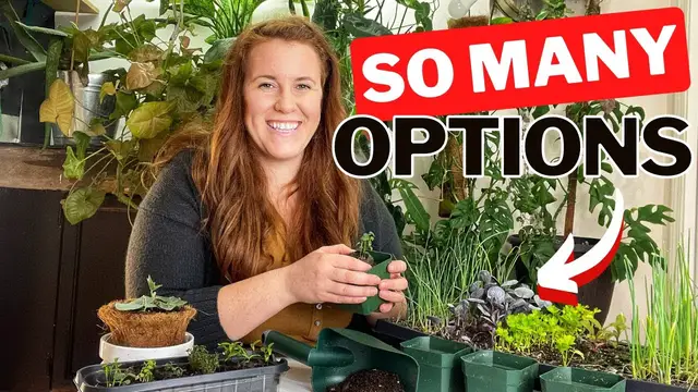 Video thumbnail for Bringing Your Favourite Garden Plants Indoors For The Winter. Taking Cuttings Vs. The Whole Plant.