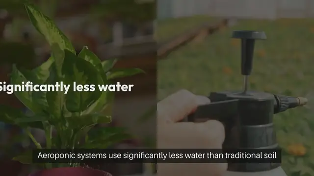 Video thumbnail for Benefits of Aeroponic Gardening Indoors