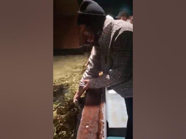 Video thumbnail for Hand in the tank