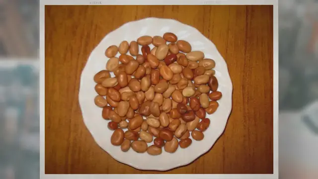 Video thumbnail for What Grapes Are Used in Chianti Wine?