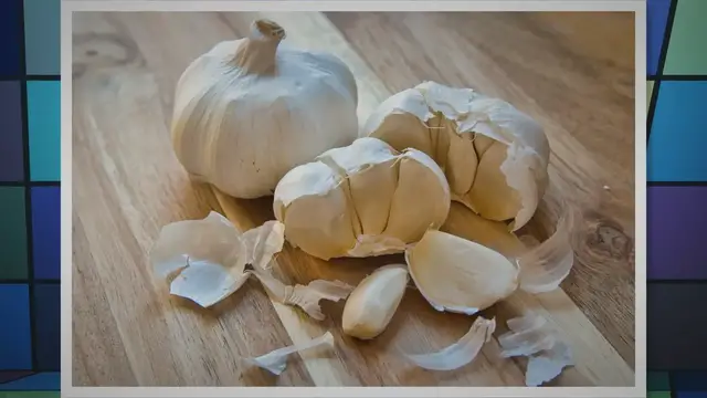 Video thumbnail for Knoblauch im Gewächshaus pflanzen, pflegen und ernten