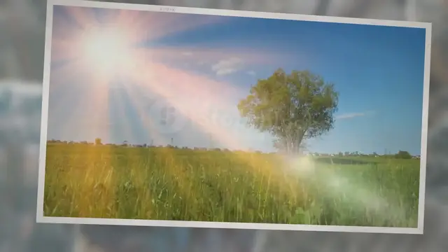 Video thumbnail for Gods Plan Quotes