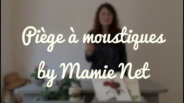 'Video thumbnail for RDGM - Fabriquer un piège à moustiques'