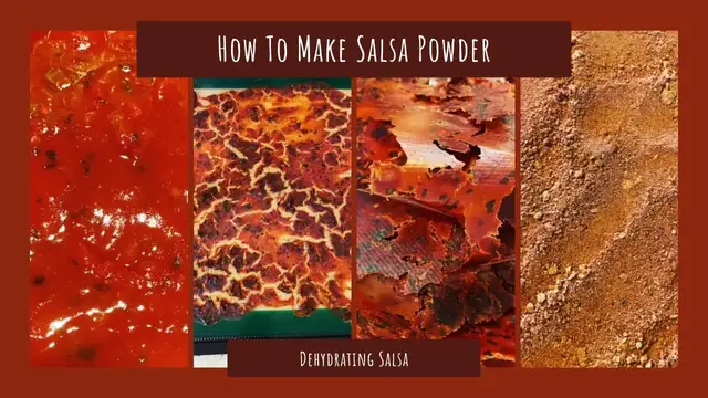 'Video thumbnail for How To Make Salsa Powder // Dehydrating Salsa // Jeni Gough'