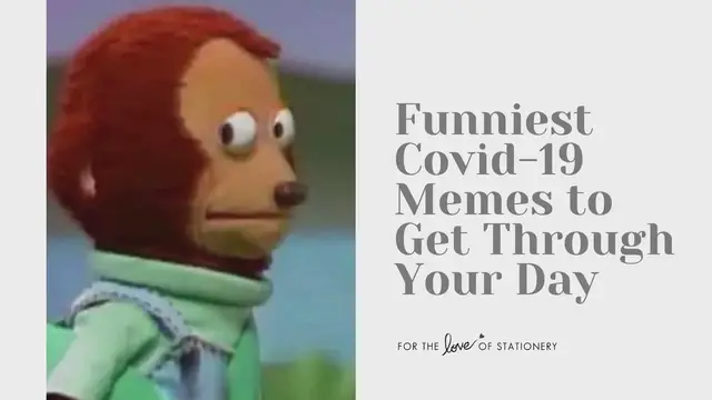 'Video thumbnail for 50+ Funniest Coronavirus Quarantine Memes'