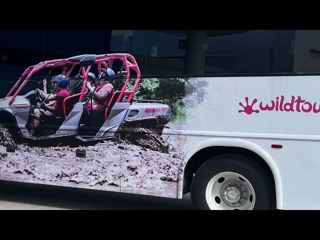 Video thumbnail for Journey through Cozumel's Enchanting Jade Caverns with XRails