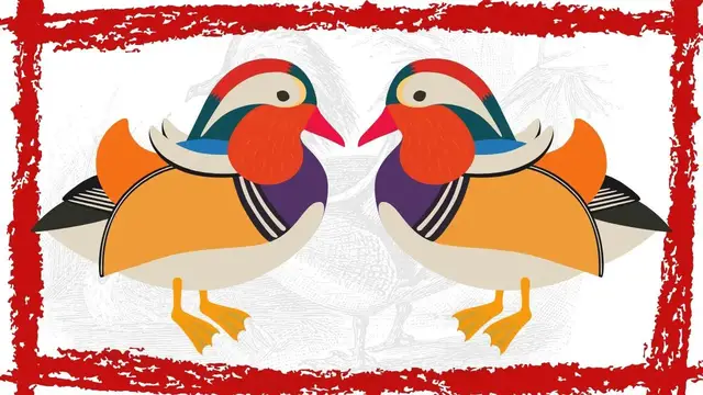 Video thumbnail for Mandarin Duck Videos | Mandarin Duck Sounds| Mandarin Duck Call