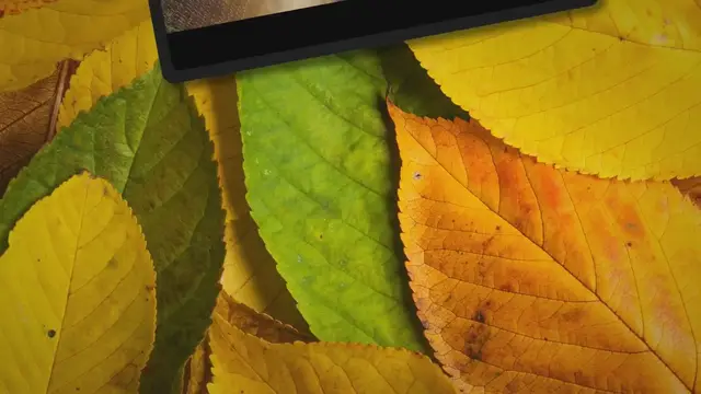 Video thumbnail for 303 Hydraulic Oil Vs AW 32 (Which Is Better To Choose)