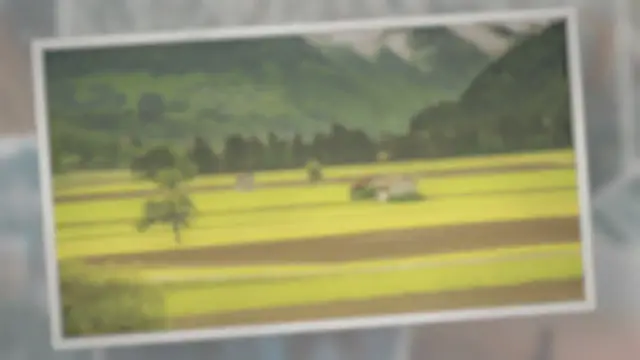 Video thumbnail for Why Do Farms Have Donkeys?