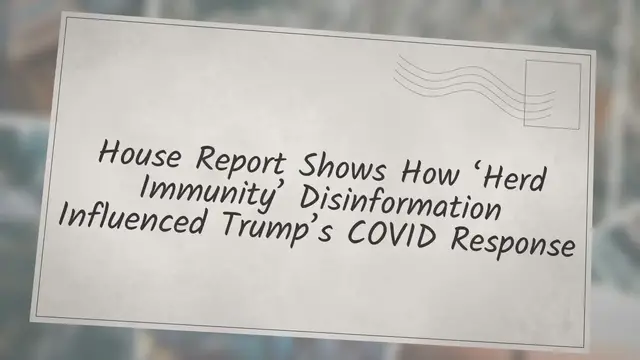 Video thumbnail for House Report Shows How ‘Herd Immunity’ Disinformation Influenced Trump’s COVID Response
