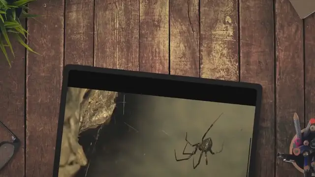 Video thumbnail for 9 Scary Spider Stories You Can Tell