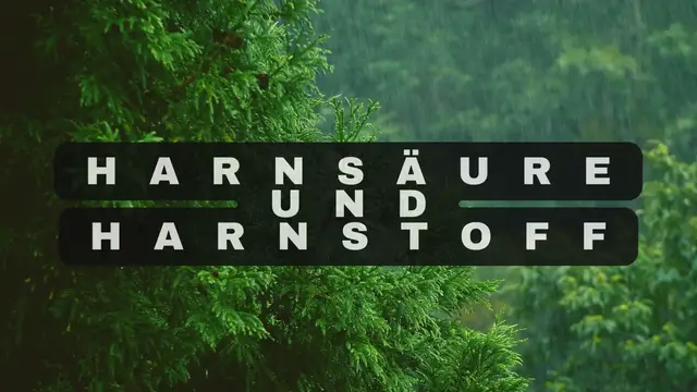 Video thumbnail for Harnsäure und Harnstoff