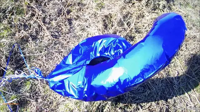 Video thumbnail for Cocker Spaniel Stranger Danger and more