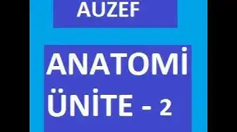 Video thumbnail for Anatomi Ünite 2 Not ve Sorular ( HAREKET SİSTEMİ )