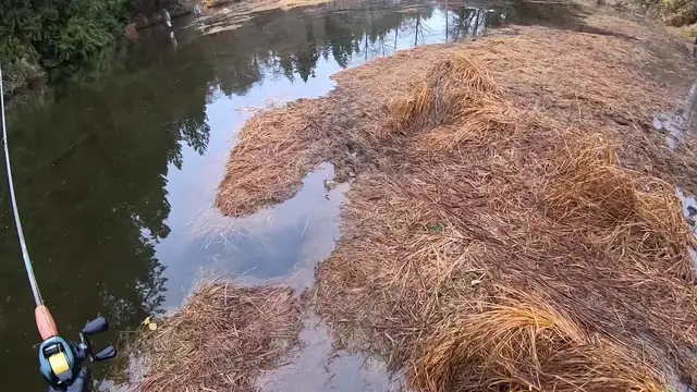 'Video thumbnail for Minter Creek Chum Float Fishing'