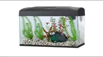 'Video thumbnail for Reviews Fish R Fun Rectangular Aquarium, 54 Litre, 58.5 x 30.5 x 38.5 cm, Black'