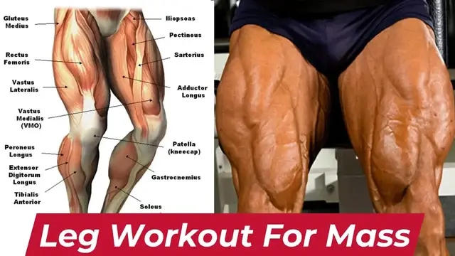 Video thumbnail for The Legs Workout To Build Bigger Legs Fast
