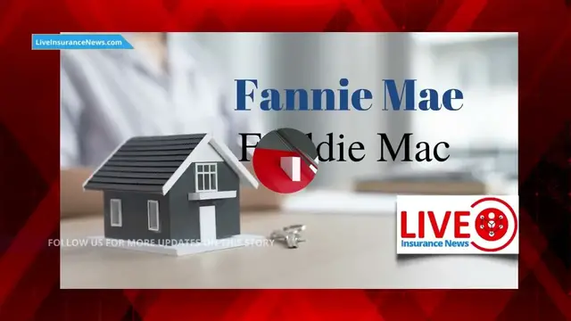 Video thumbnail for Will stopgap measure dig Florida home insurance market out of crisis