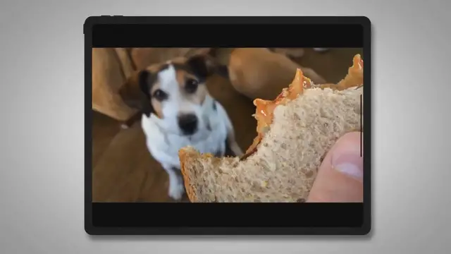 'Video thumbnail for Why do dogs like peanut butter?'