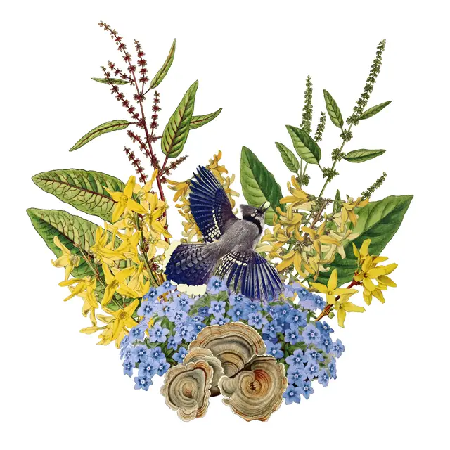 'Video thumbnail for Woodland floral art creation'