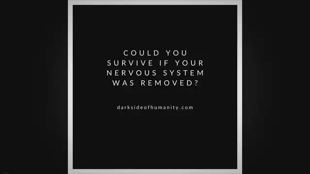 'Video thumbnail for Could You Survive if Your Nervous System Was Removed?'