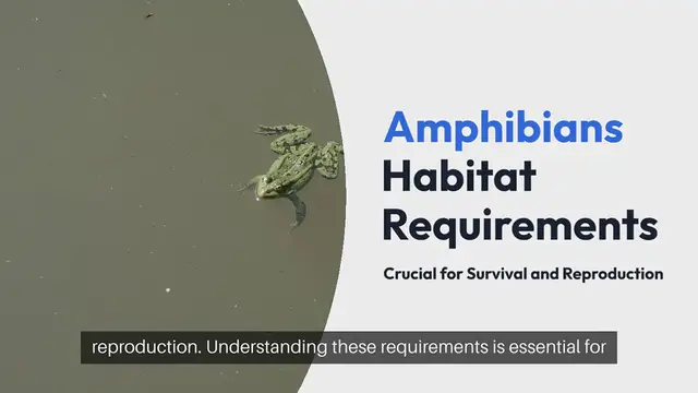 Video thumbnail for Amphibian Habitat Requirements