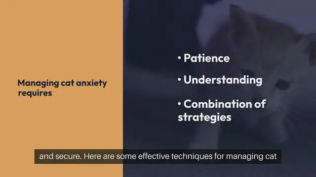 Video thumbnail for Managing Cat Anxiety