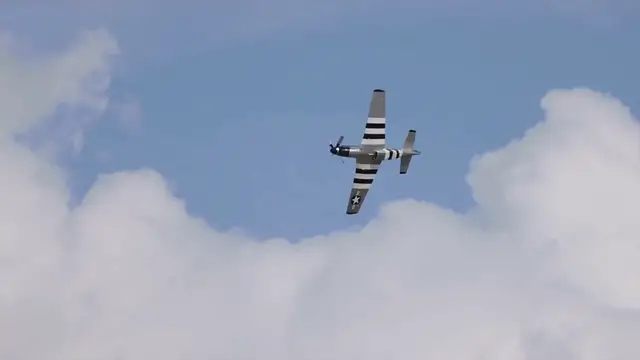 Video thumbnail for The Tuskegee Airmen: Heroes of the Skies