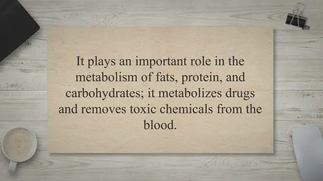 Video thumbnail for Top 15 Warning Signs Of An Unhealthy Liver