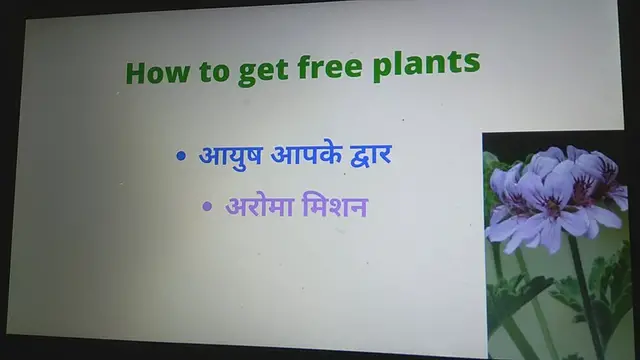 'Video thumbnail for How to get free plants from government _ Ayush apke dwar _ Aroma mission'