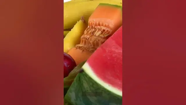 Video thumbnail for Best Ronco Dehydrator, Yay Or Nay? (2023)