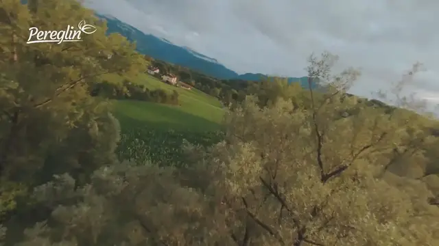 'Video thumbnail for Kako posaditi povrće u vrt za najbolji prinos - radionica'