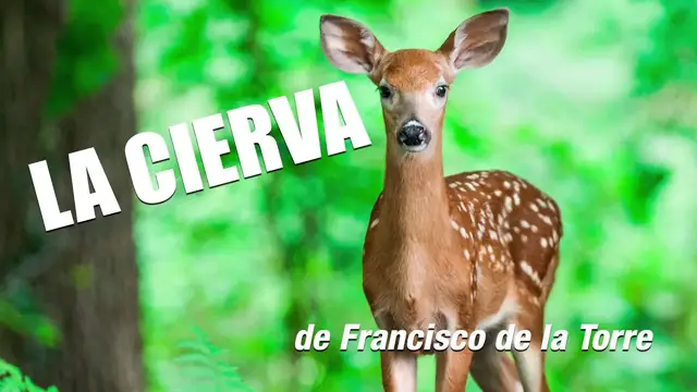 Video thumbnail for La Cierva de Francisco de la Torre | Audiolibro