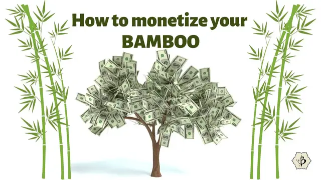 Video thumbnail for How to monetize your bamboo