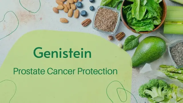 Video thumbnail for Genistein Prostate Cancer Protection