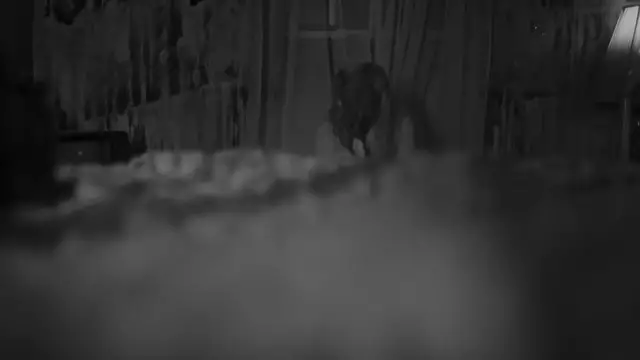 Video thumbnail for EDGES_subtitled.mp4