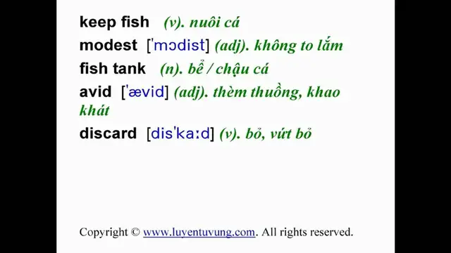 Video thumbnail for Learn English Vocabulary - Grade 11 - Unit 13 - Lesson 01