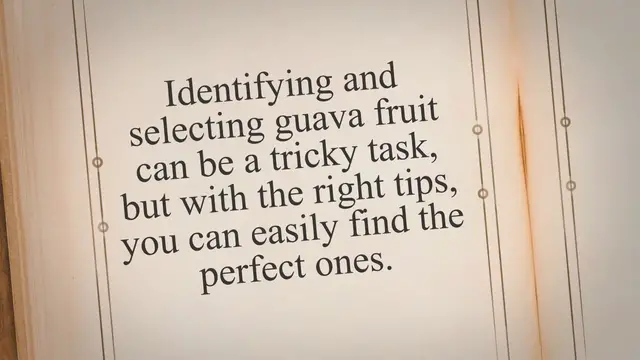 'Video thumbnail for Unlocking the Deliciousness of Guava Fruit: Tips for Identifying, Preparing, and Enjoying the Health Benefits'