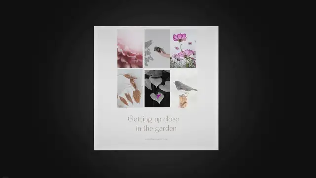 Video thumbnail for Mastering photography in the garden, on vacation and behind the computer