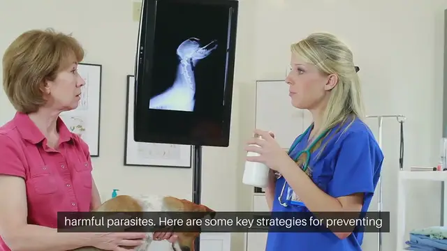 'Video thumbnail for Pet Parasite Prevention'