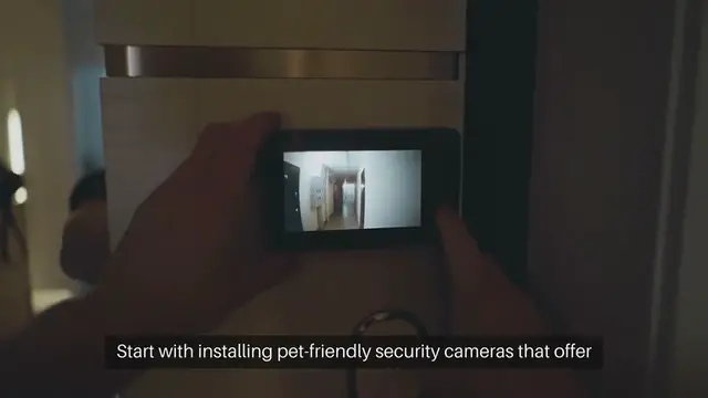 'Video thumbnail for Pet Monitoring While Away Strategies'