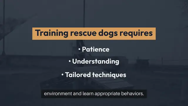 'Video thumbnail for Training Rescue Dogs'